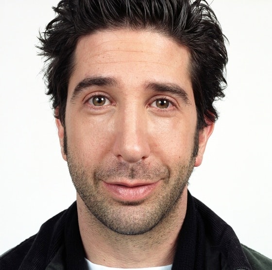 Дэвид Швиммер (Росс Геллер) занялся социальными роликами