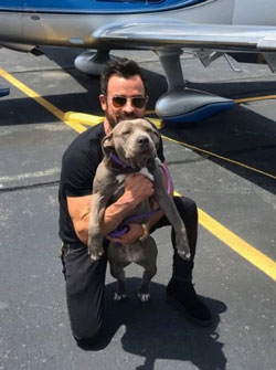 Джастин Теру завел питбуля вместо Дженнифер Энистон